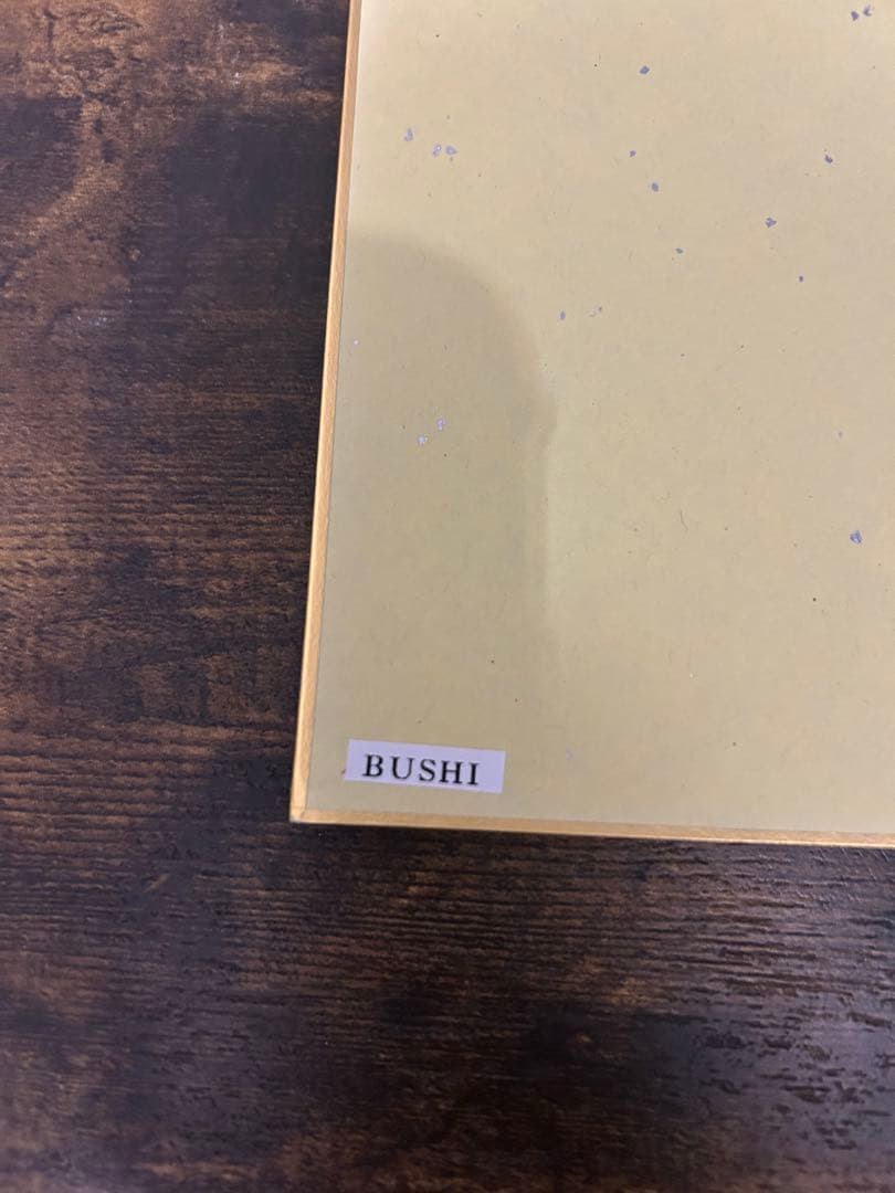 サイン色紙 新日本プロレス　10枚セット（大幅値下げしました）