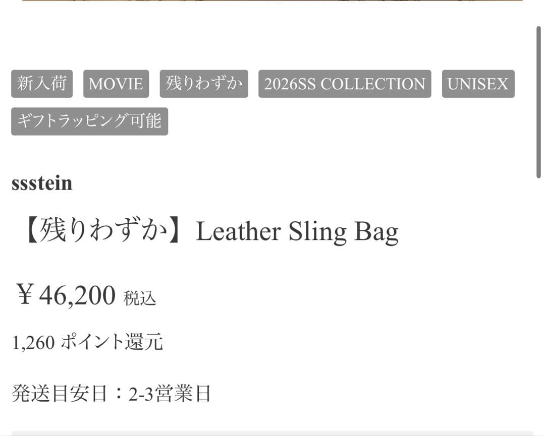 バッグ ssstein leather sling bag
