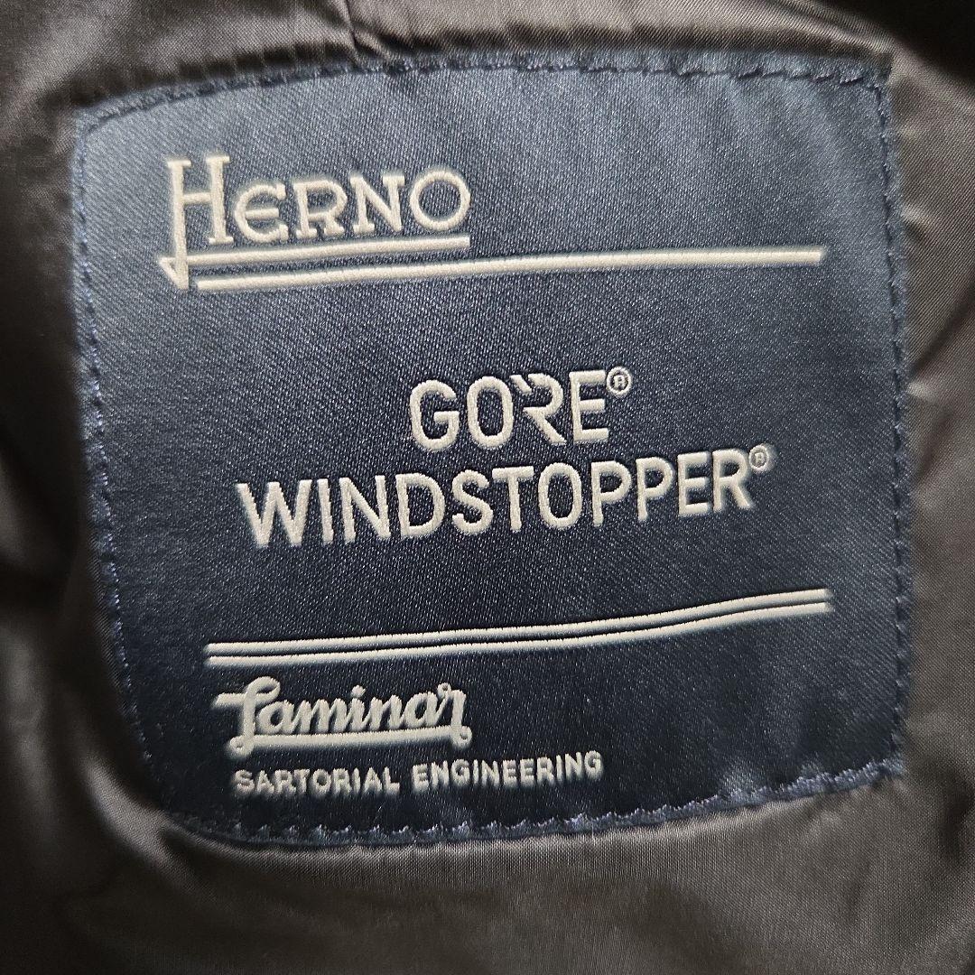 ​【極美品】ヘルノ ラミナー ゴアテックス ダウンジャケット 48 3WAY
