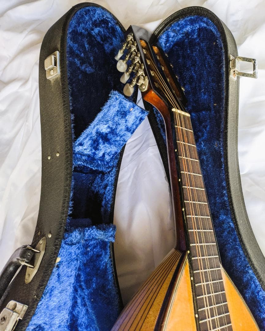 ✨SUZUKI M-30 木製 8弦マンドリン 本体 ＋ 専用ハードケース付き✨