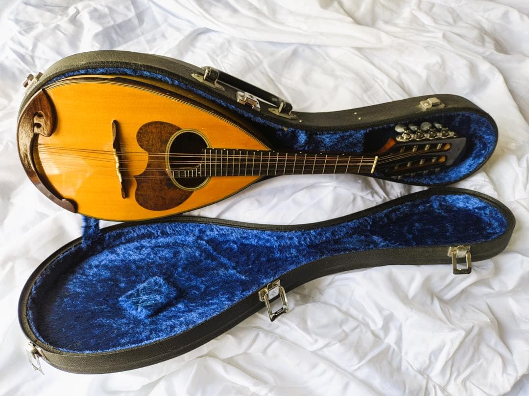 ✨SUZUKI M-30 木製 8弦マンドリン 本体 ＋ 専用ハードケース付き✨