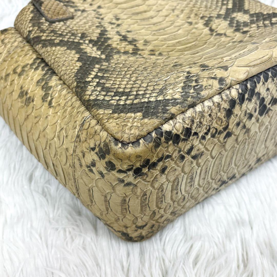 超希少 ティファニー ハンドバッグ リアルパイソンレザー ロゴ金具