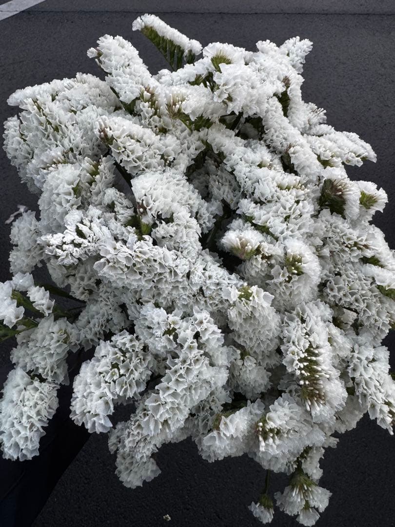 kikurin728様 リクエスト 3点 まとめ商品