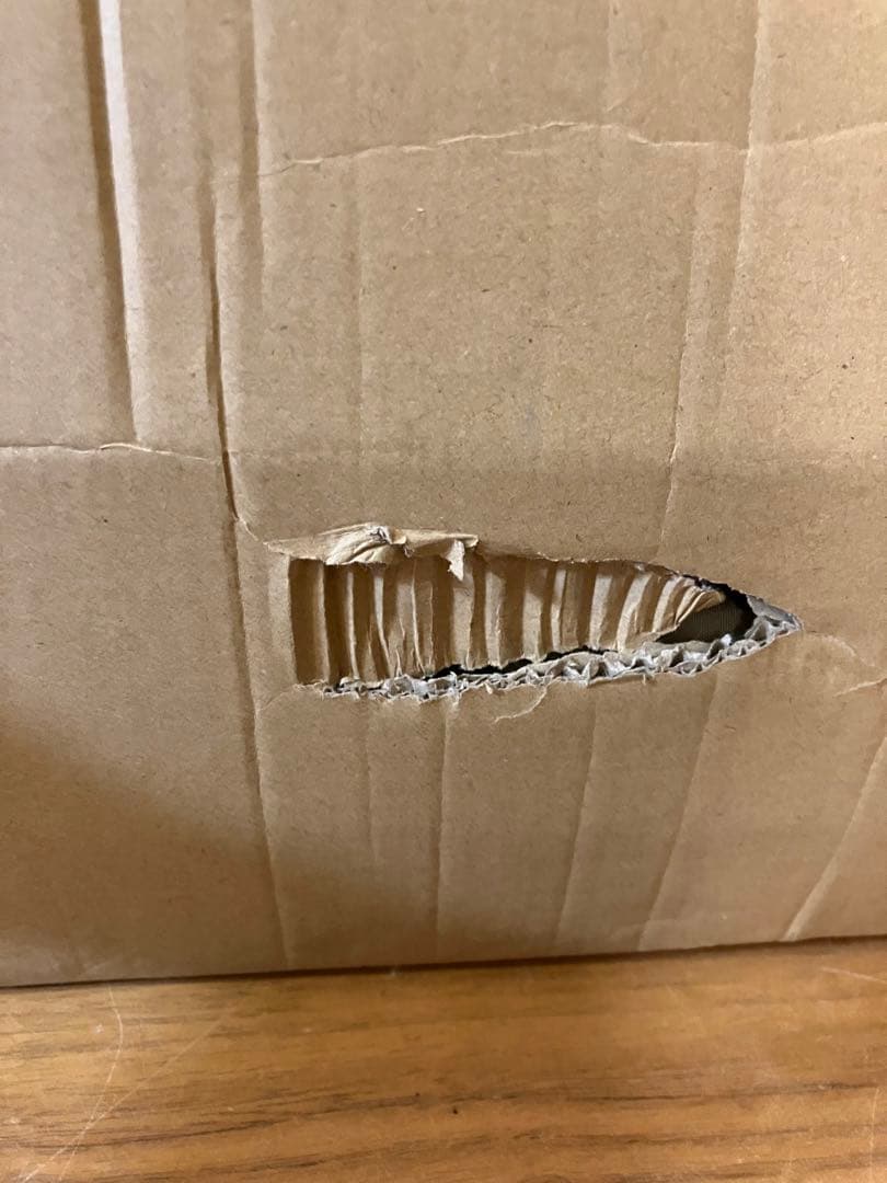 《1週間限定価格》新品未開封　わがやのシェード DOD