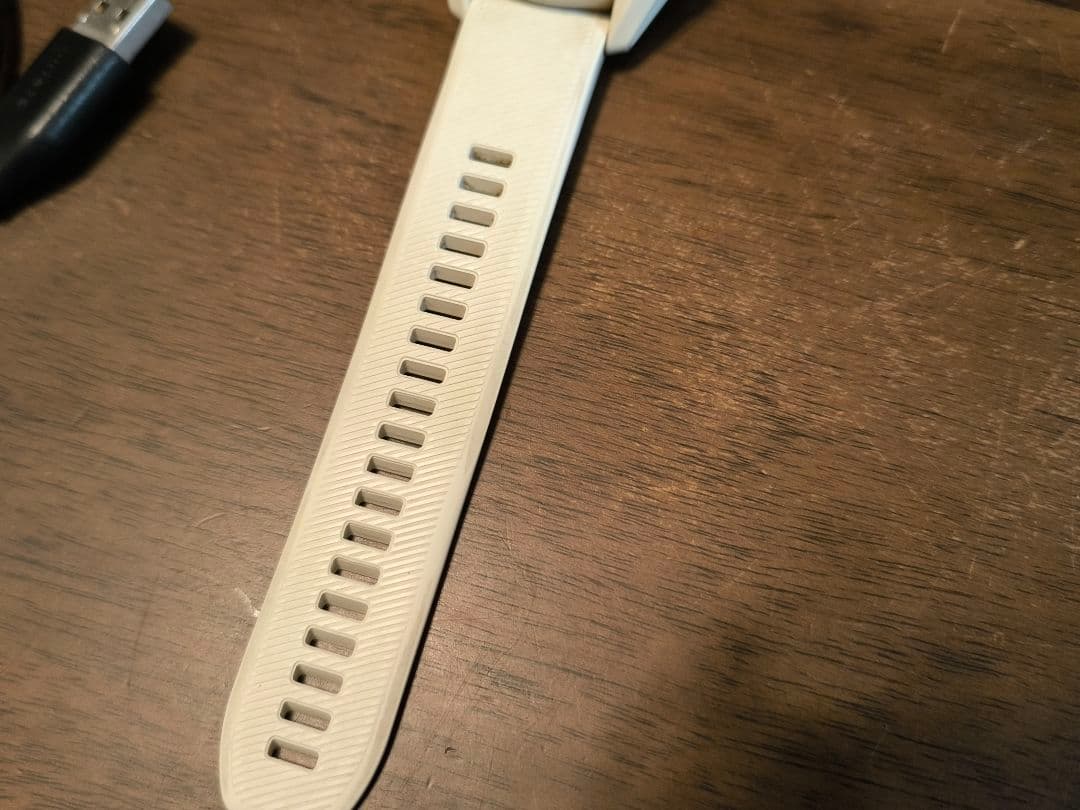 GARMIN ガーミン Approach S62 White CT10 3個付き