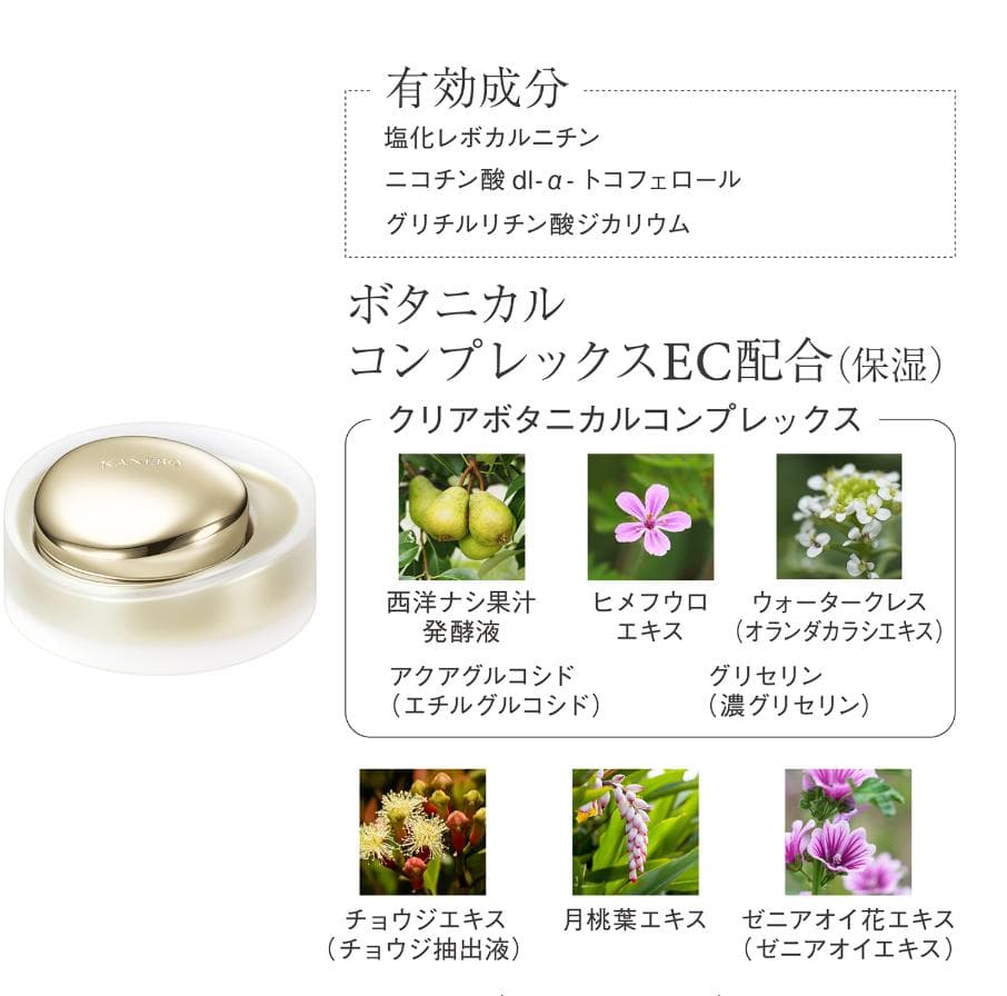 新品　KANEBO THE CREAM フェイスクリーム