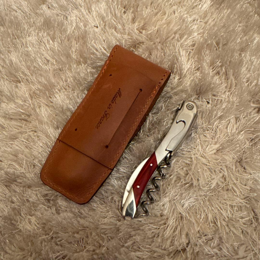 シャトーラギオール　ジェラールバッセモデル