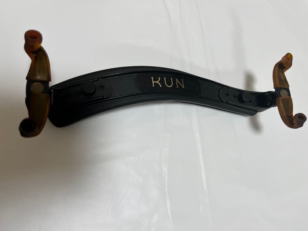 Rudolph Fiedler バイオリン　GV-5