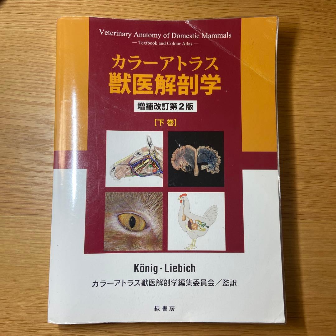 カラーアトラス獣医解剖学 【下巻】 増補改訂第2版 - メルカリ