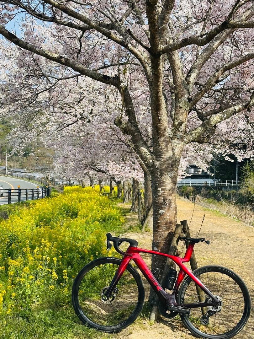 ヨッシー46、 美品Project One GEN7 マドンSLR