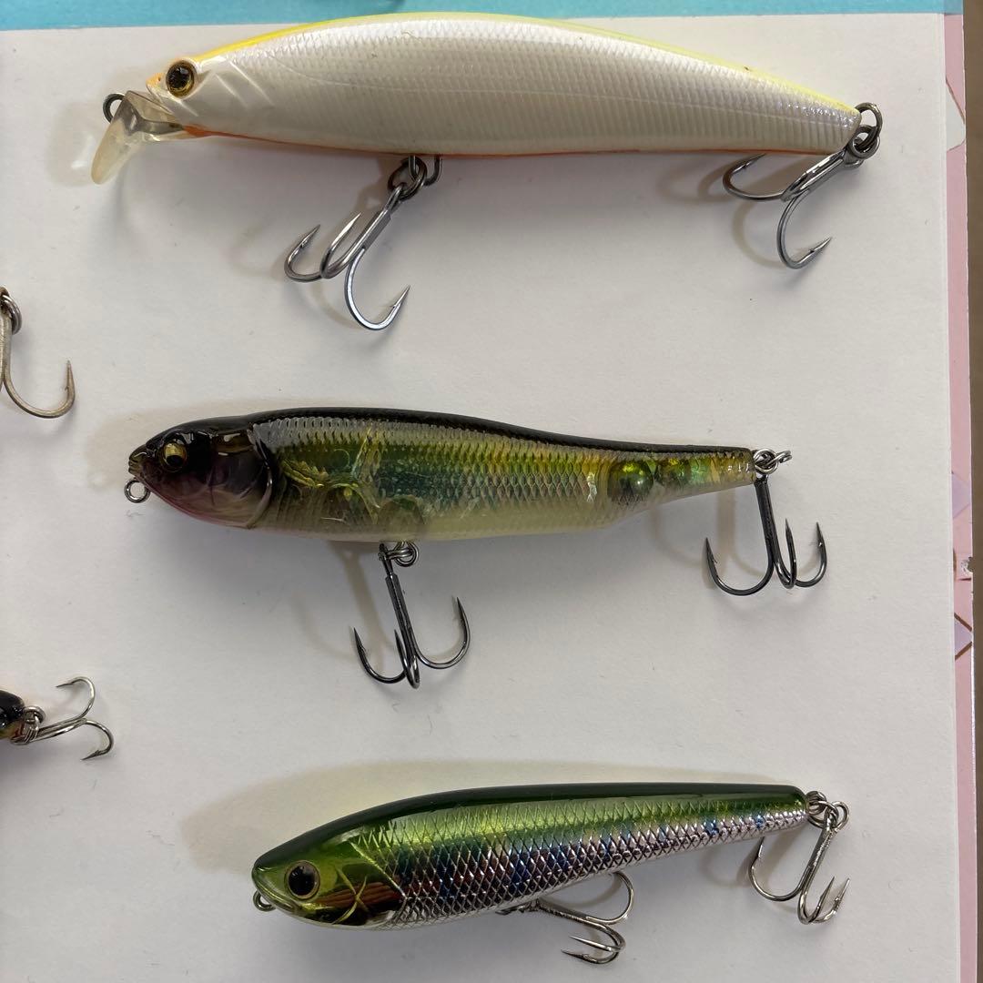 シーバス、青物、その他