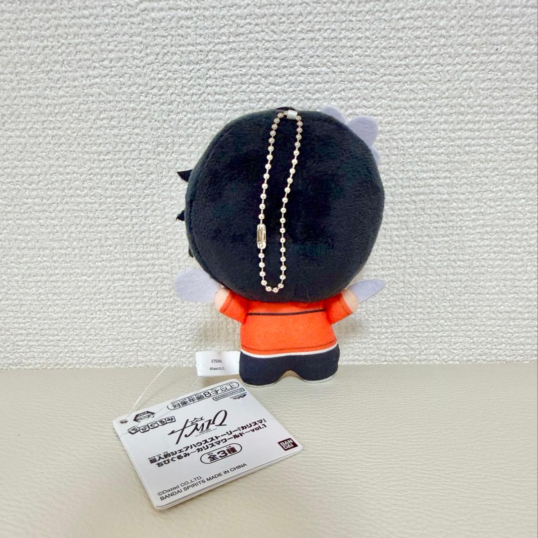 超人的シェアハウスストーリー⭐︎カリスマ⭐︎ちびぐるみvol.1