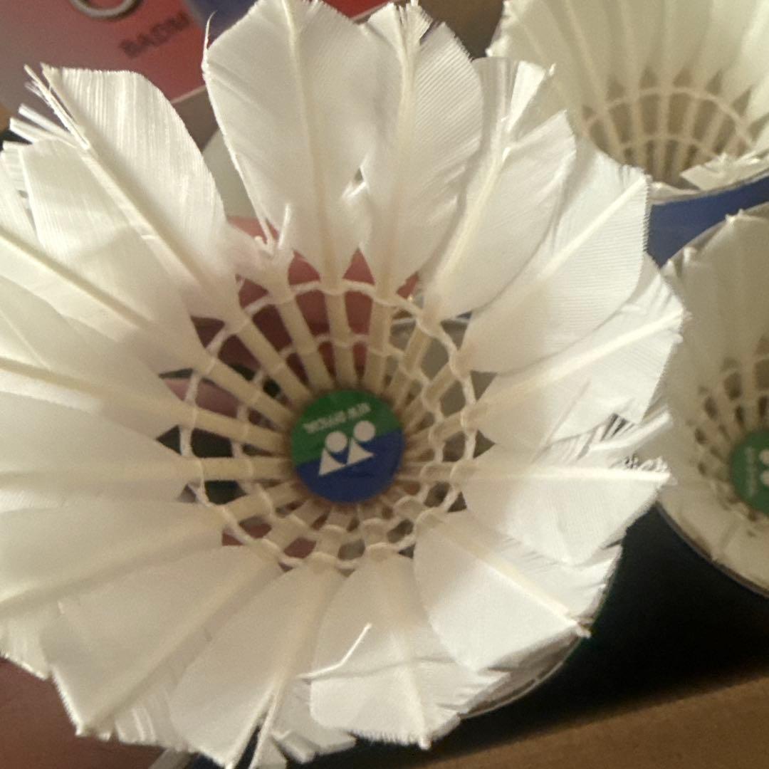 バドミントンシャトル ニューオフィシャル 基礎打ち用(130球)