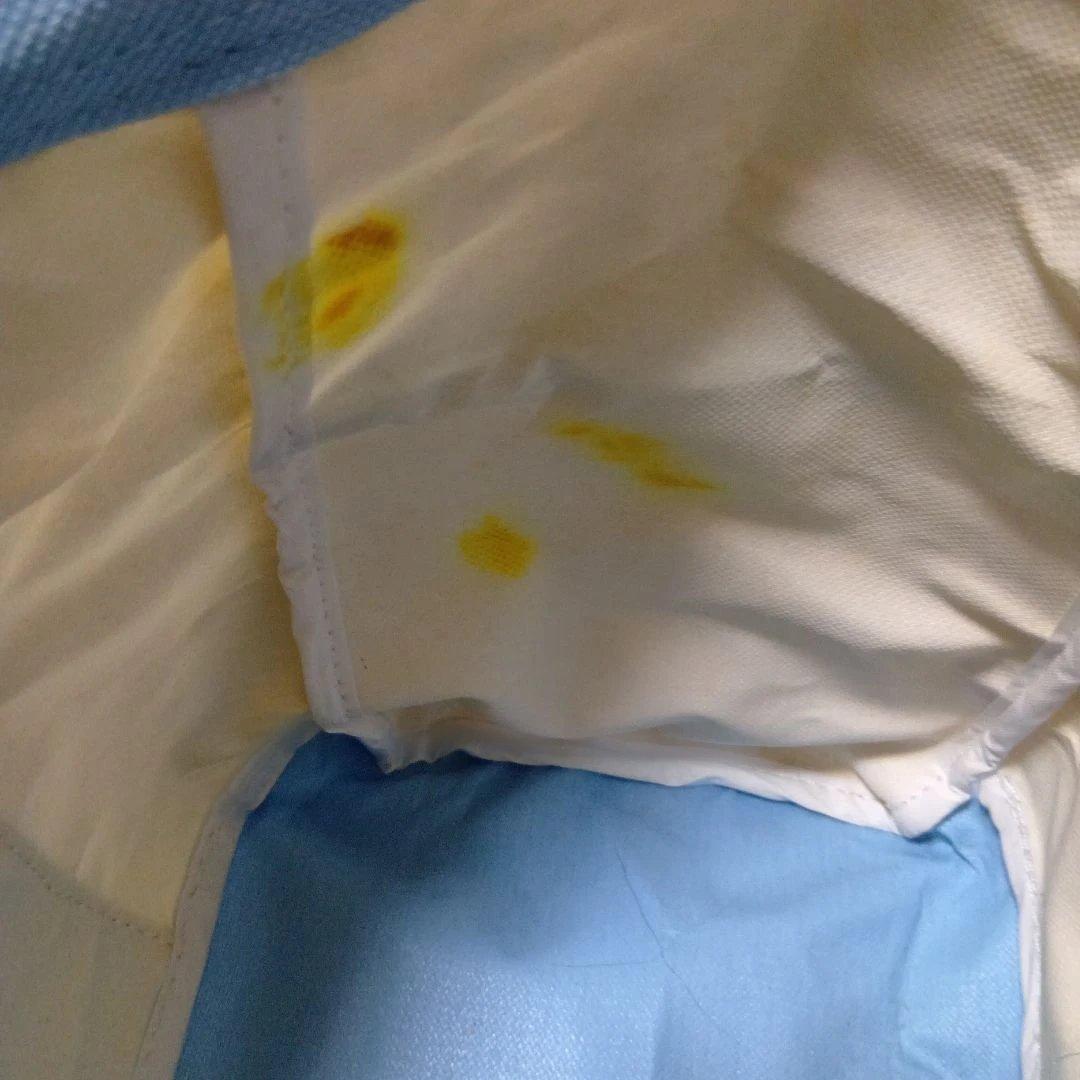 Coleman キャンプテント ダークグリーン