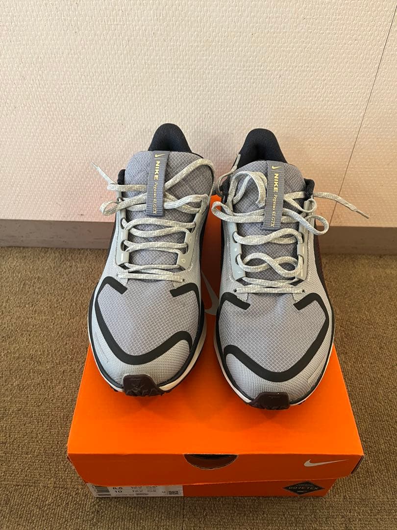 ナイキ ペガサス41 GORE-TEX