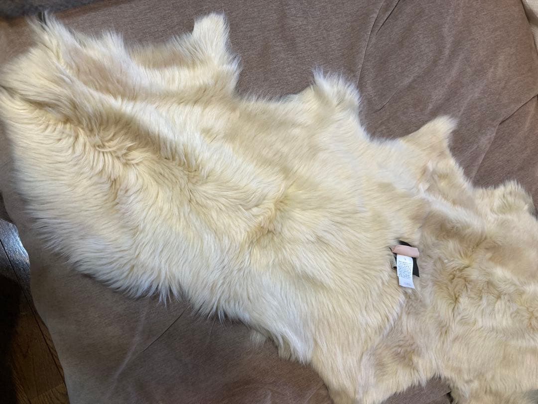 カールドノヒュー⭐︎ラムファー バーニーズニューヨーク