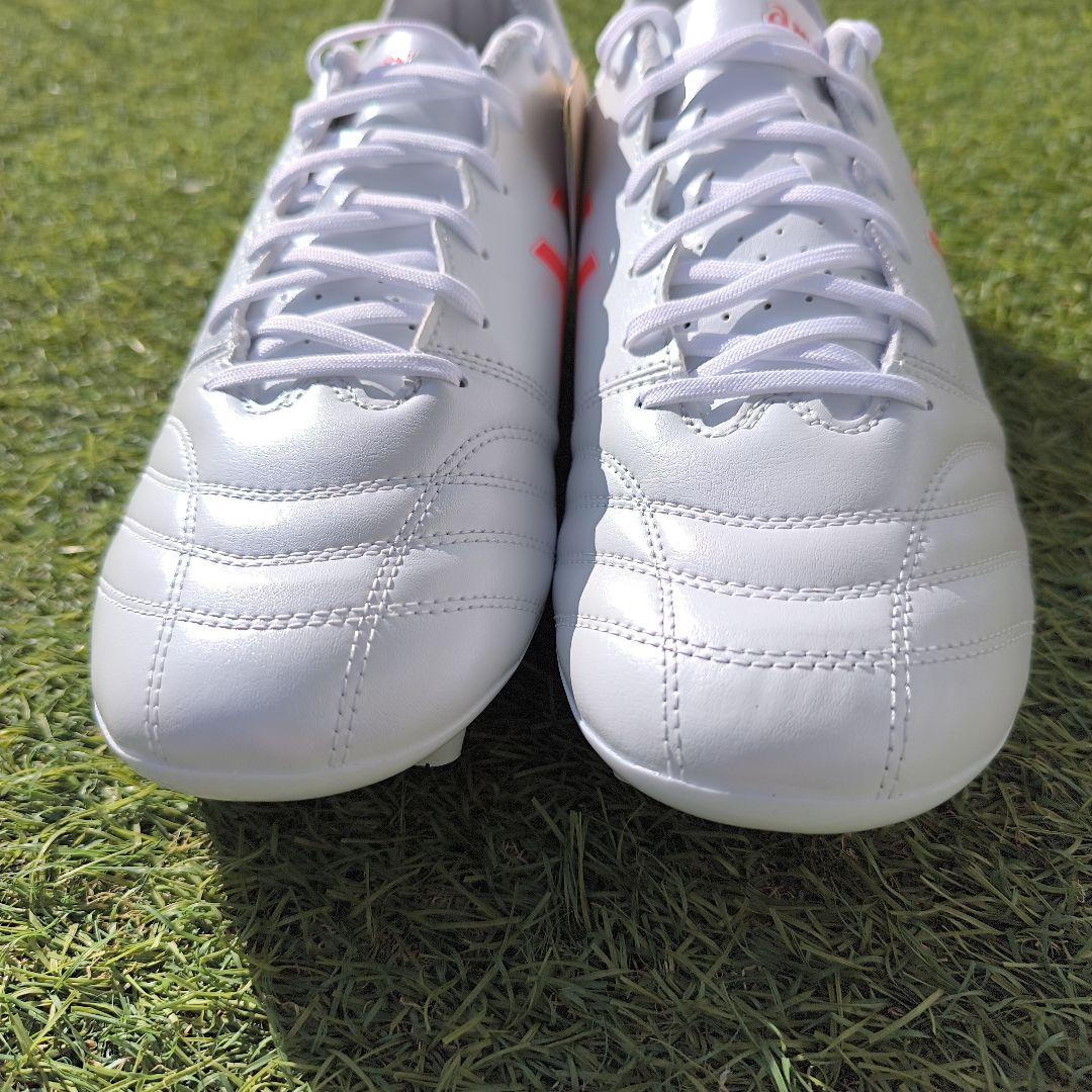 シューズ asics DS LIGHT ADVANCE WIDE 28.0cm