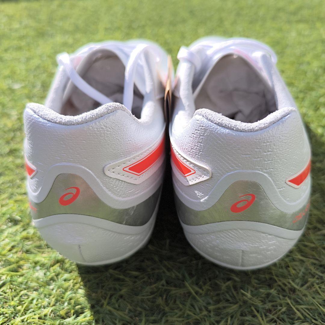 シューズ asics DS LIGHT ADVANCE WIDE 28.0cm