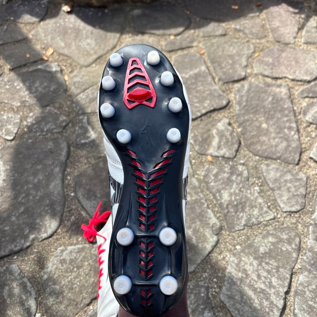 モレリアネオ4β定番カラー白