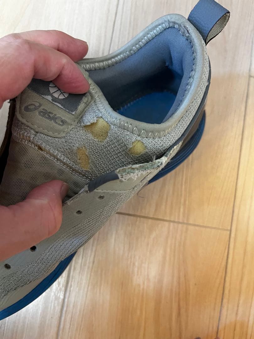 シューズ(男性用) ballaholic ASICS GLIDE NOVA FF 2 25.0cm