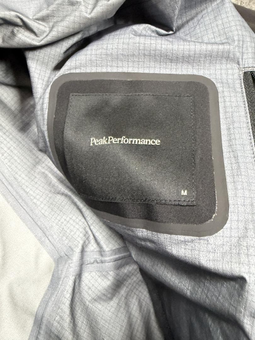 スキー Peak Performance Vertical GTX Pro LDN M