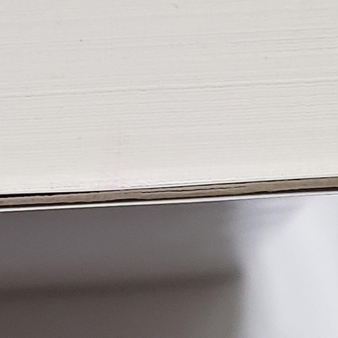 p*n様 絶版 線虫ラボマニュアル 三谷昌平