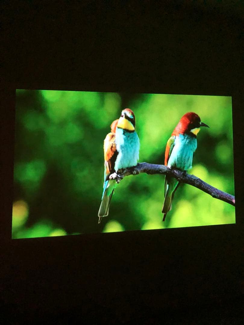 Anker Nebula Capsule II ネビュラカプセル2プロジェクター