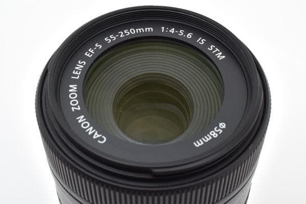 キャノン Canon EF-S 55-250mm F4-5.6 IS STM