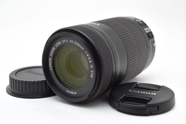 キャノン Canon EF-S 55-250mm F4-5.6 IS STM