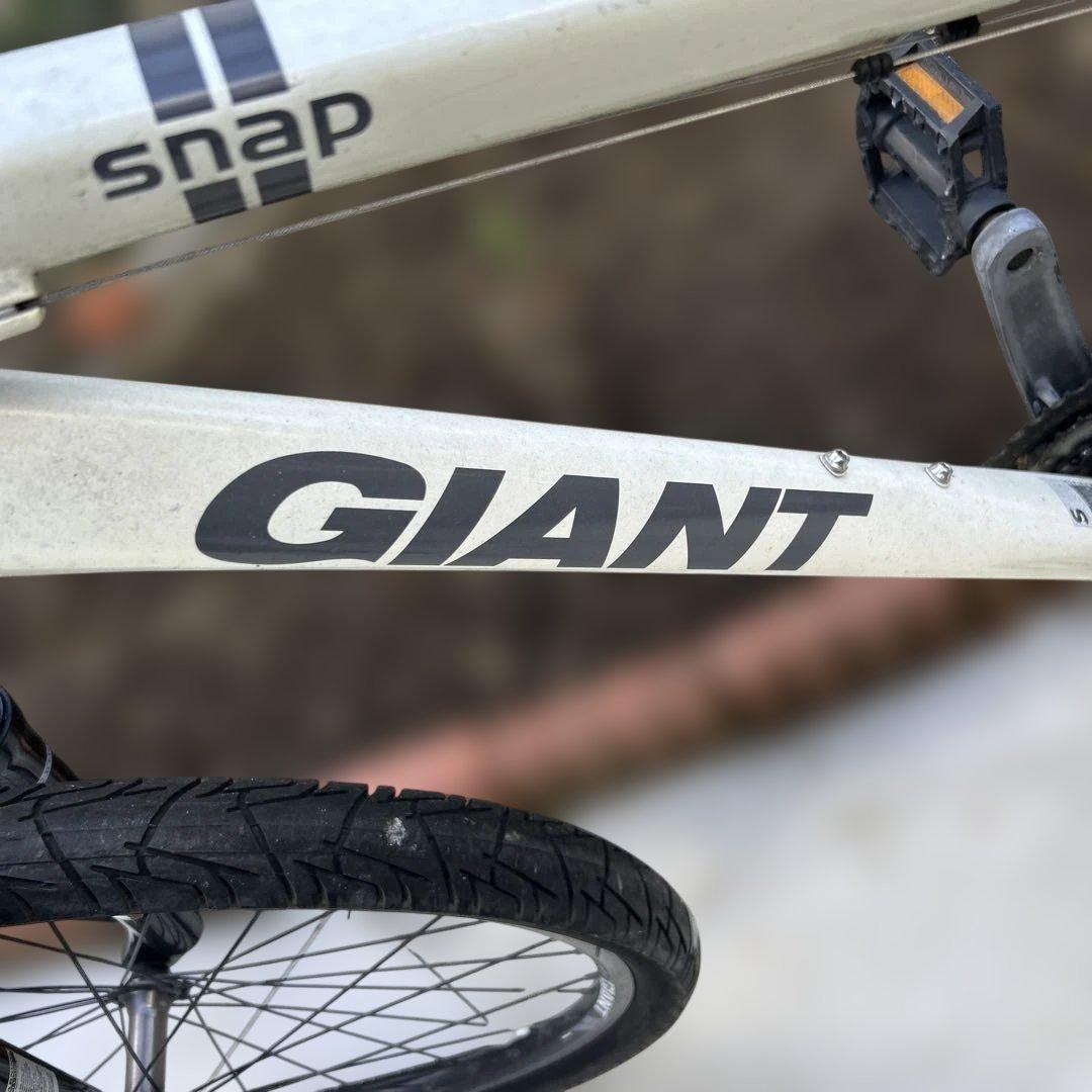 GIANT SNAP自転車