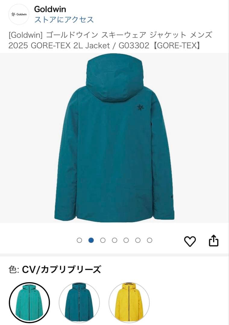 Goldwin スキーウェア cv(グリーン) gore-tex asiaXXL