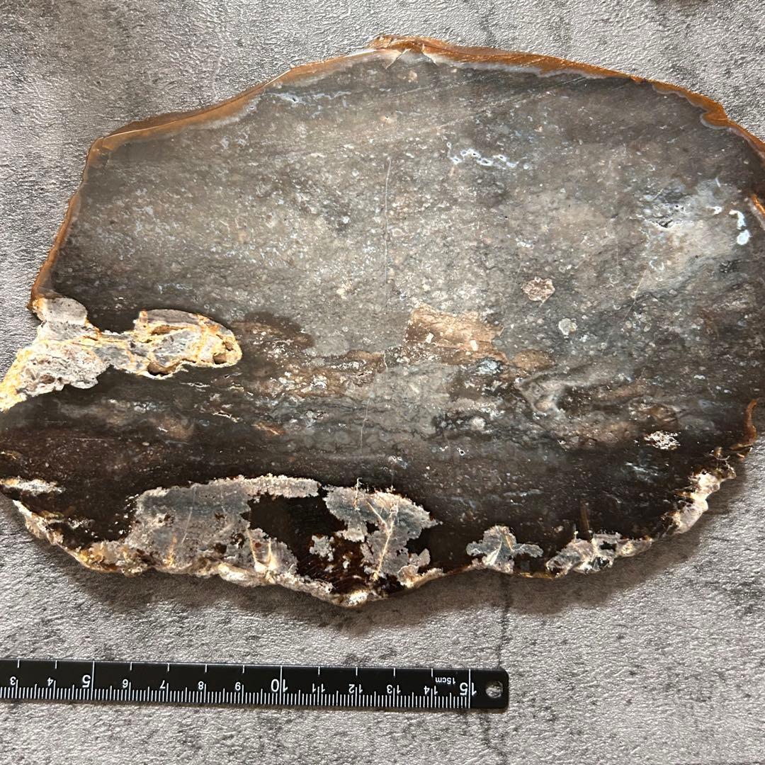 ⭐︎天然石　珪化木　スライス