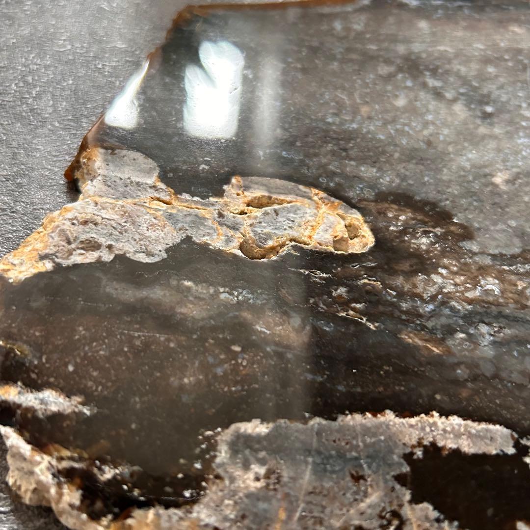 ⭐︎天然石　珪化木　スライス