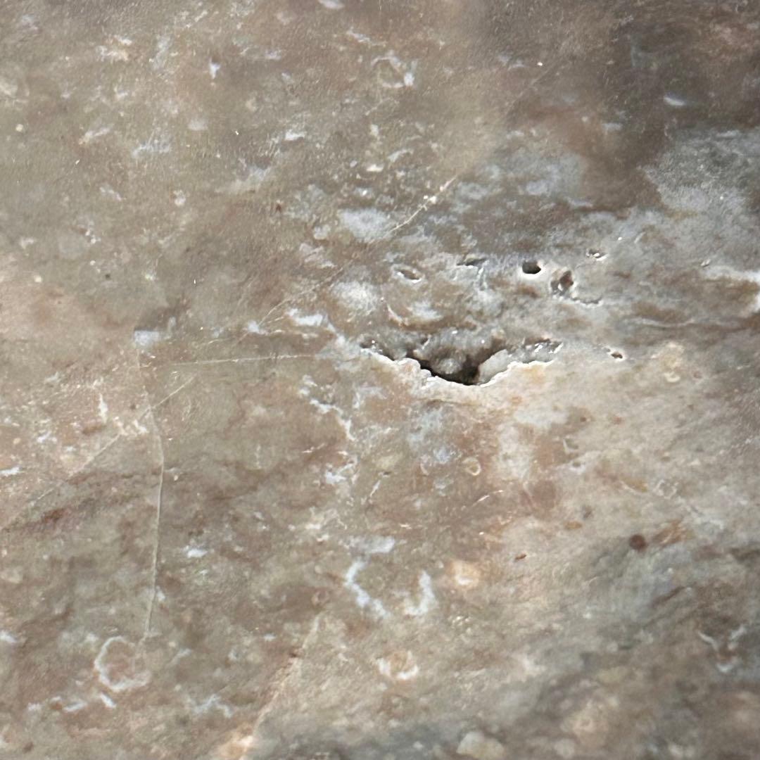 ⭐︎天然石　珪化木　スライス