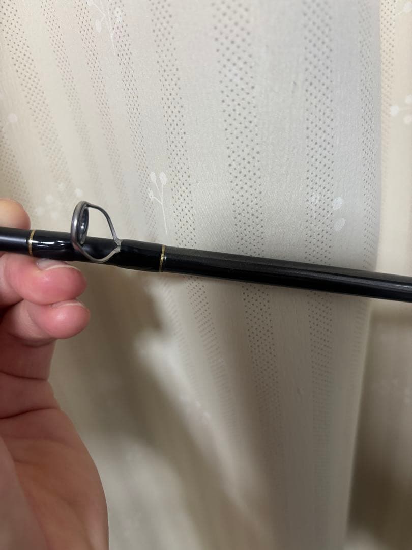 エバーグリーン　カレイド　デジーノスティングレイ66