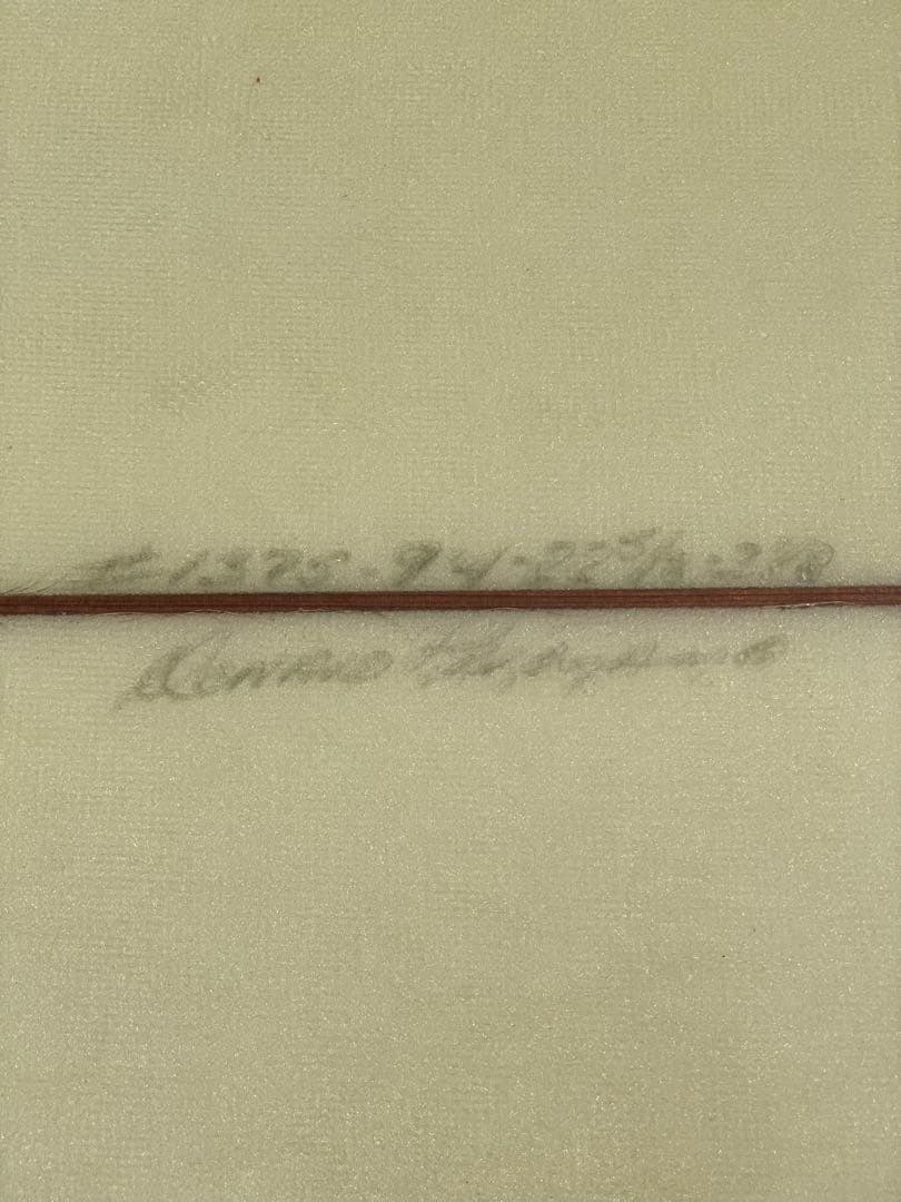 ドナルドタカヤマ　9.4 ジョエルチューダー　スリーストリンガー