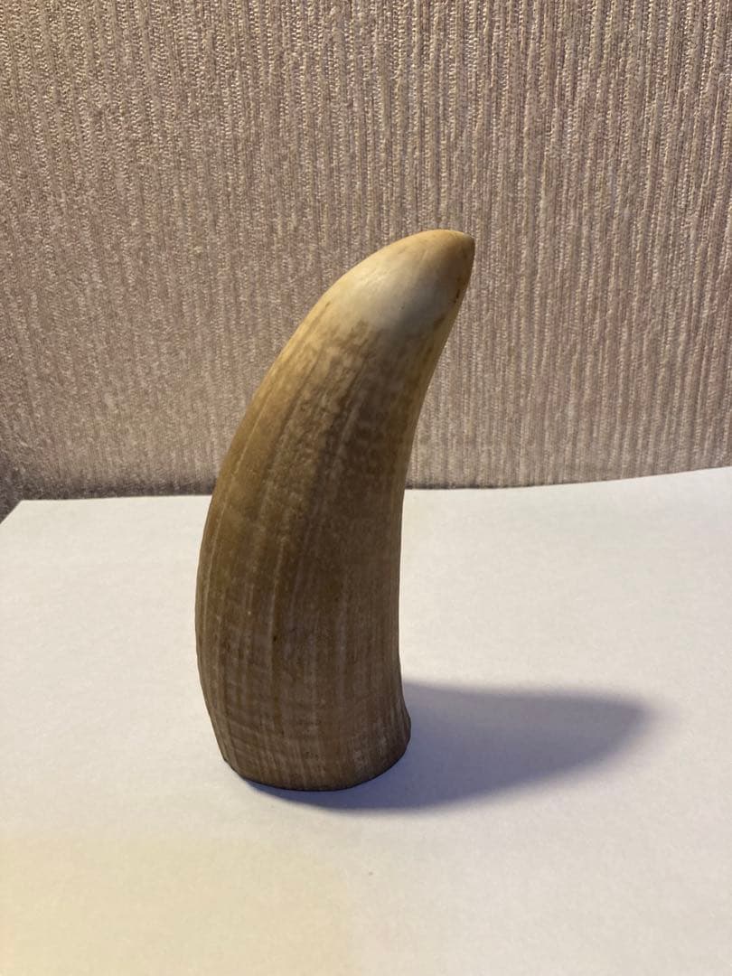 マッコウクジラ歯（根付け　ルアー)