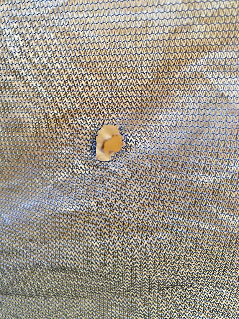 Coleman コールマン インスタントアップドーム240 テント