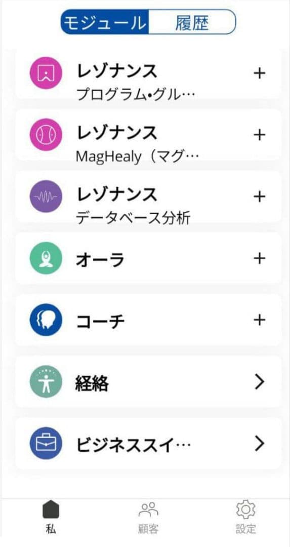 52.8万 保証内 Healy ヒーリープロフェッショナル 波動調整 オーラ