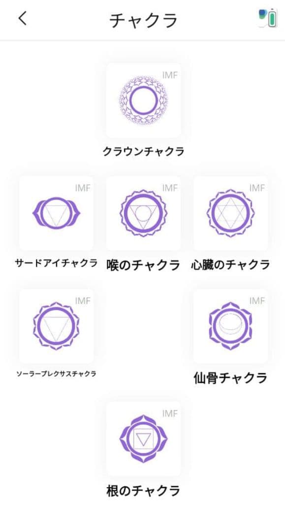 52.8万 保証内 Healy ヒーリープロフェッショナル 波動調整 オーラ