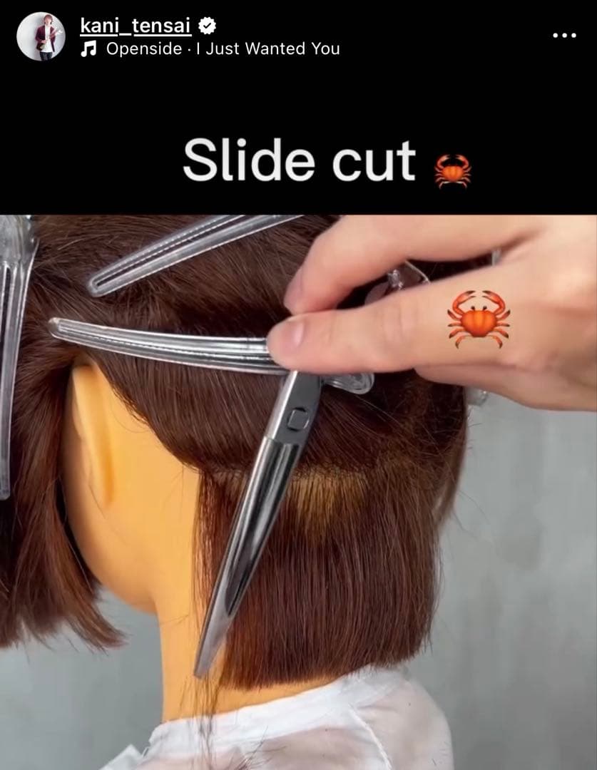 NBAA シザー カニさん 美容師 - メルカリ