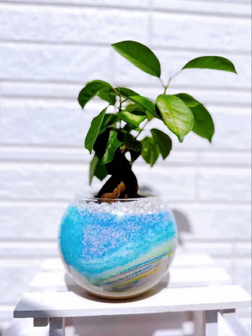 オーダー専用ページ