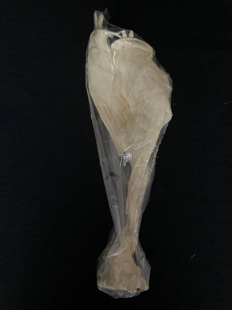 ボークス　シレーヌ　舞　光と闇　「光」　ガレージキット　未組み立て品