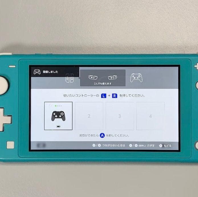 Nintendo Switch Lite 本体 動作品