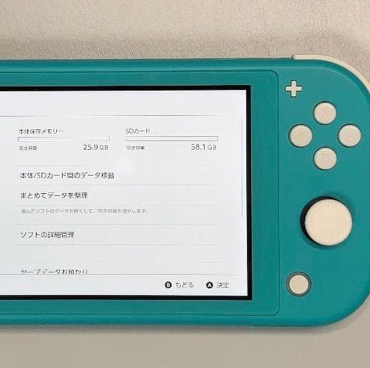 Nintendo Switch Lite 本体 動作品
