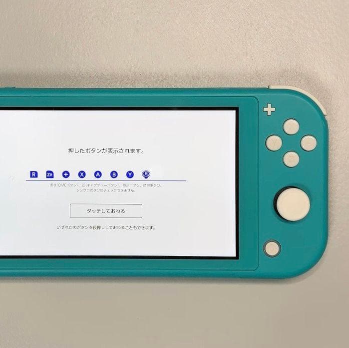 Nintendo Switch Lite 本体 動作品