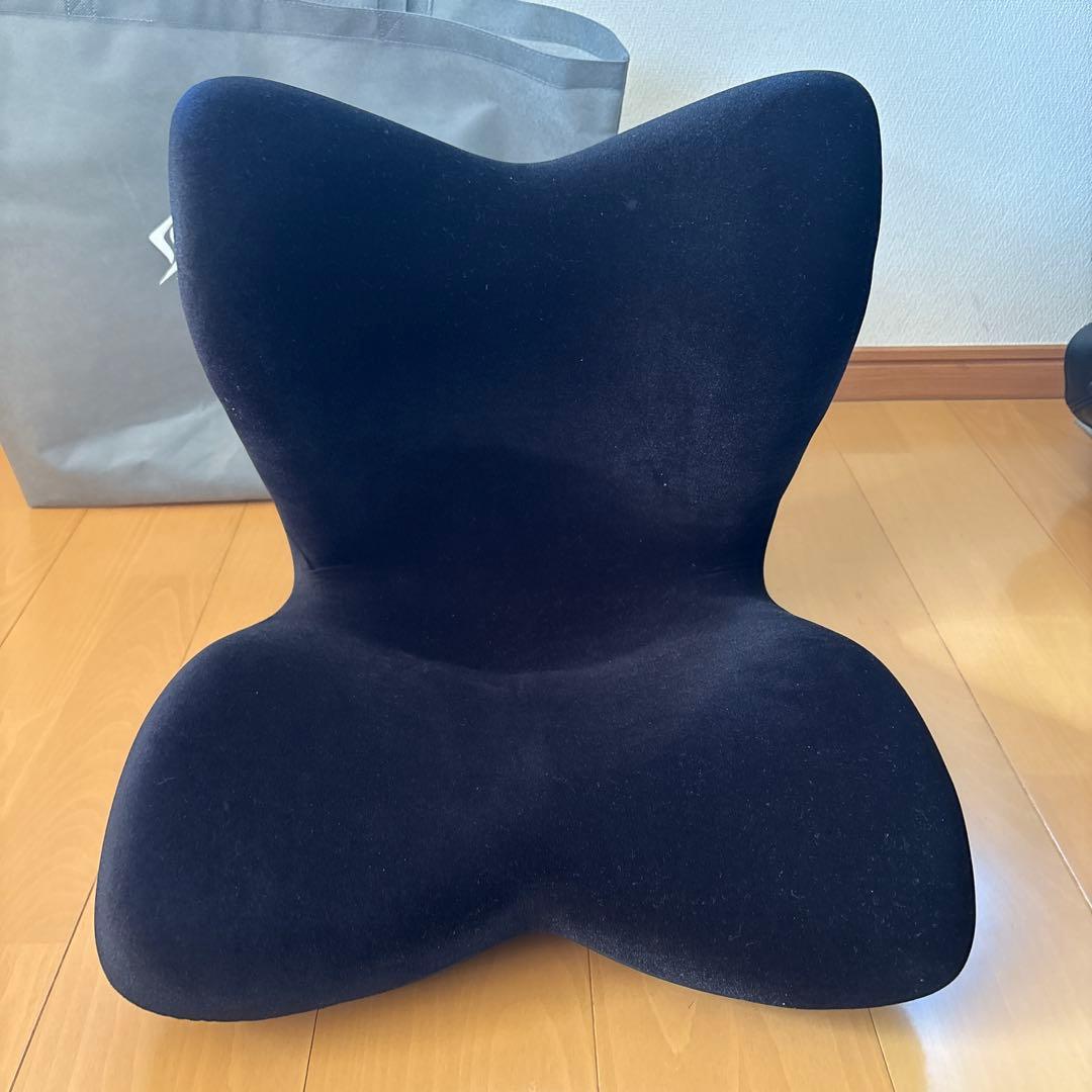 Style スタイルプレミアムデラックス 2