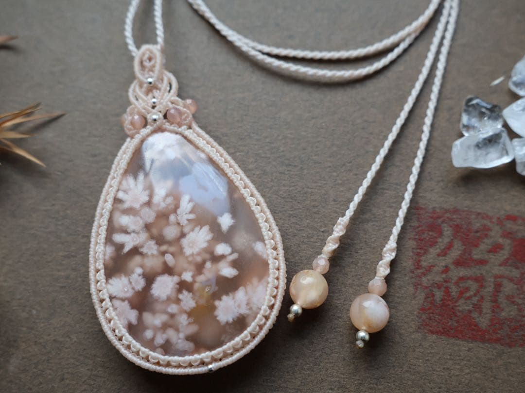 でんちゃん 8/22