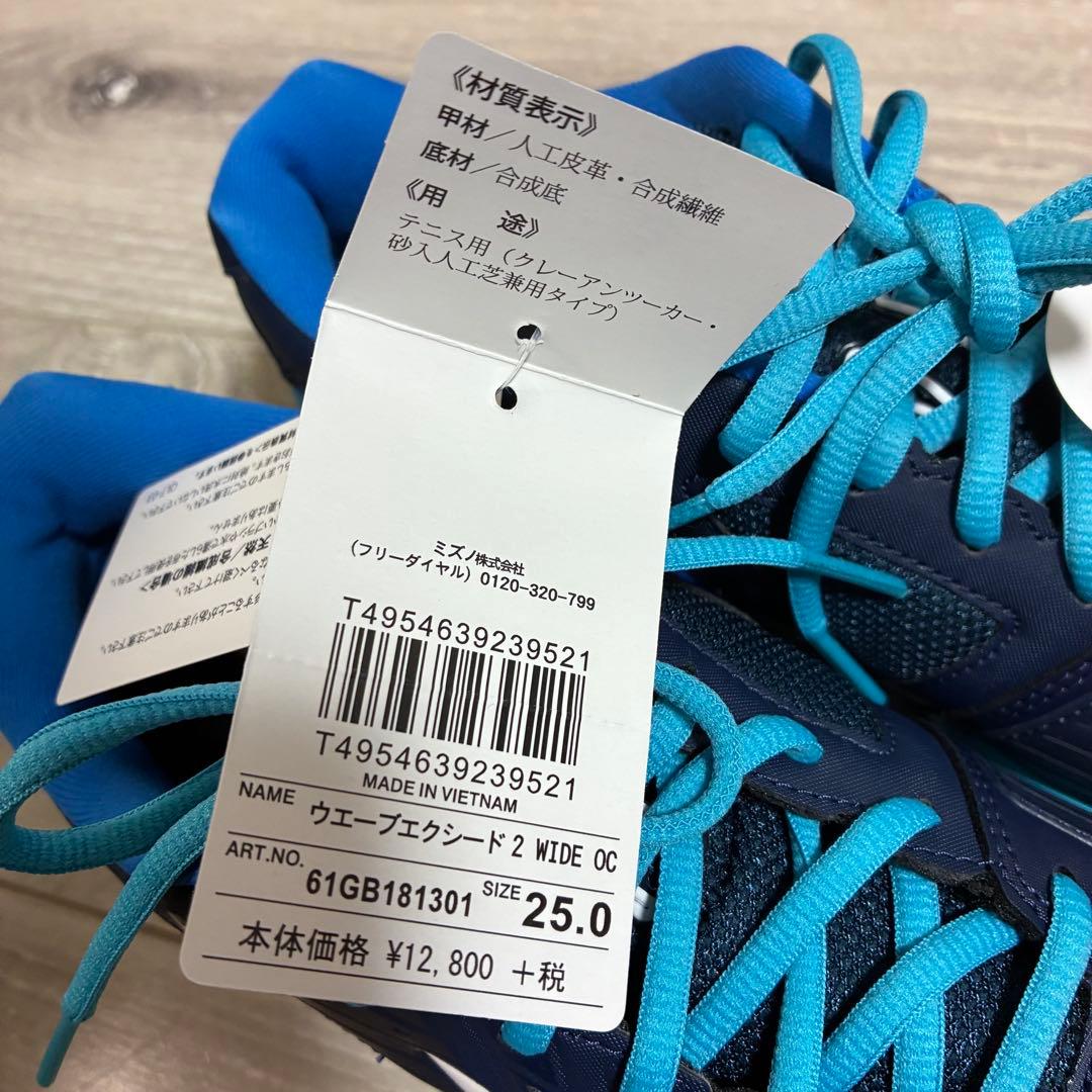 新品未使用 MIZUNO ミズノ テニスシューズ ウェーブエクシード2 25cm