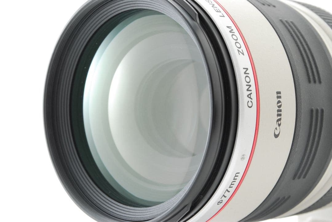 ✨極美品✨キャノン EF 100-400mm L IS USM❤️撮る楽しさ広がる